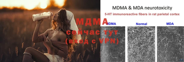 хмурый Лиски