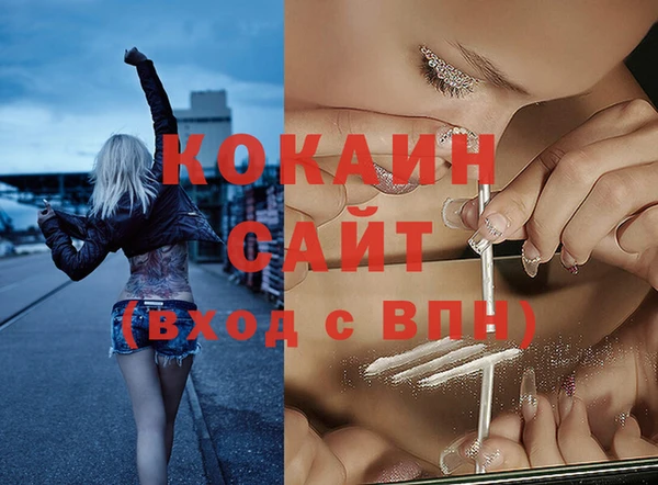 хмурый Лиски
