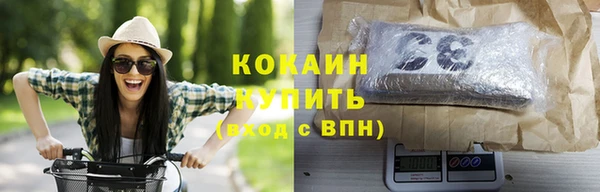 хмурый Лиски